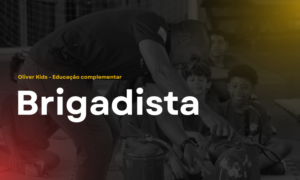 Brigadista